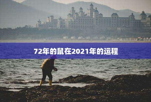 72年的鼠在2021年的运程