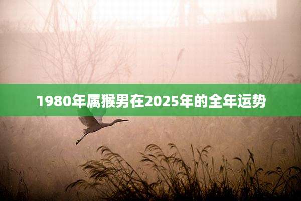 1980年属猴男在2025年的全年运势