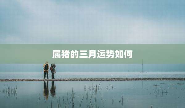 属猪的三月运势如何