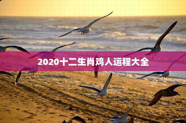 2020十二生肖鸡人运程大全