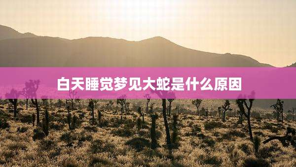 白天睡觉梦见大蛇是什么原因