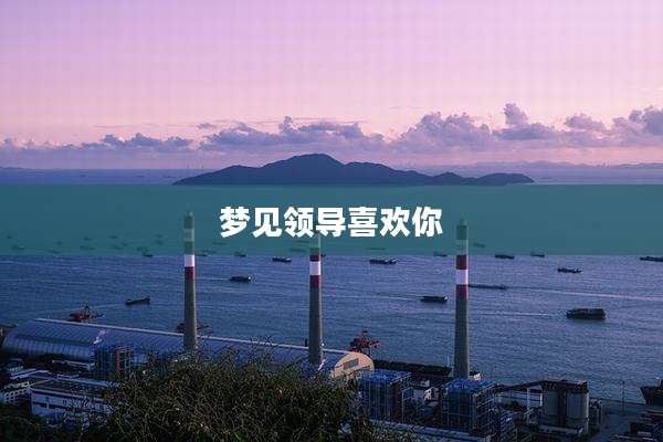 梦见领导喜欢你