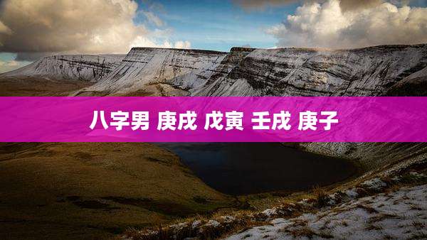 八字男 庚戌 戊寅 壬戌 庚子