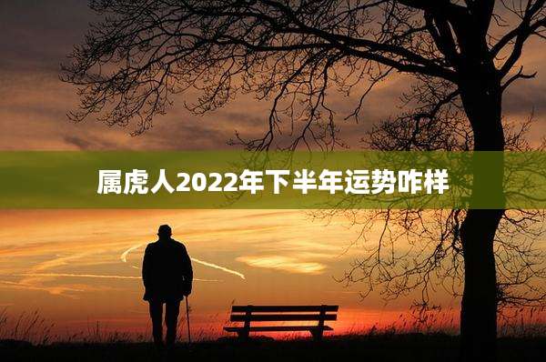 属虎人2022年下半年运势咋样