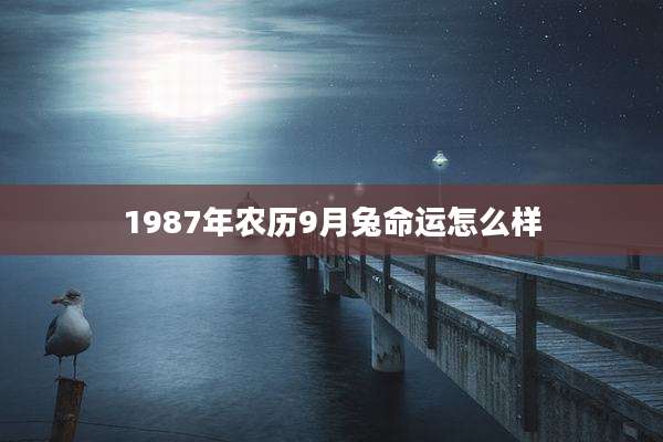 1987年农历9月兔命运怎么样