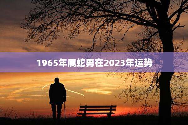 1965年属蛇男在2023年运势