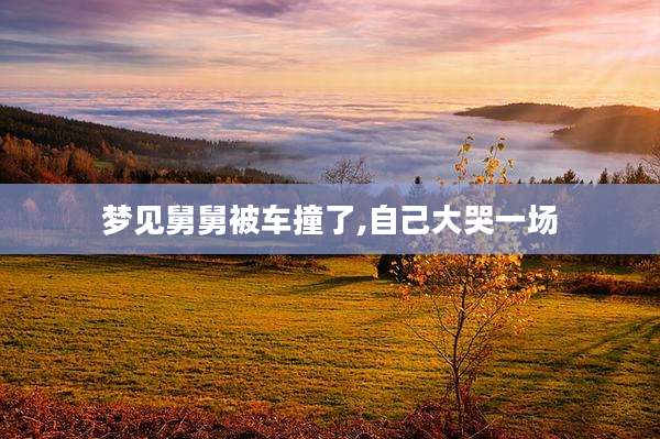 梦见舅舅被车撞了,自己大哭一场