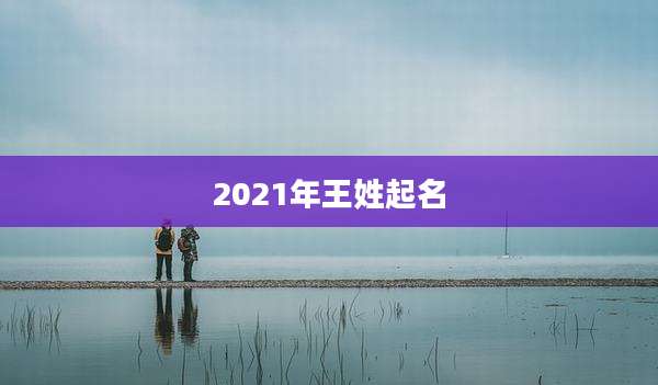 2021年王姓起名