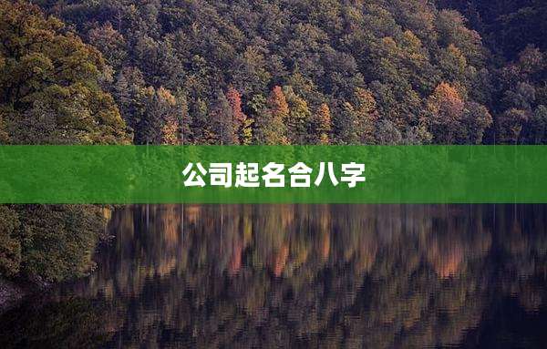 公司起名合八字