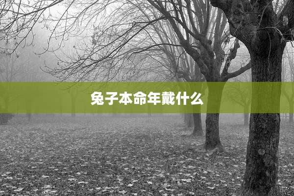 兔子本命年戴什么