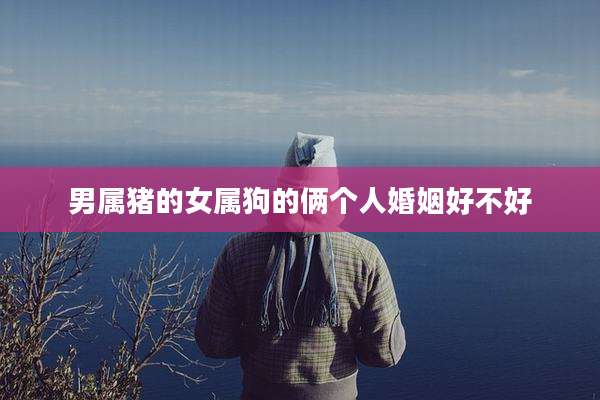 男属猪的女属狗的俩个人婚姻好不好