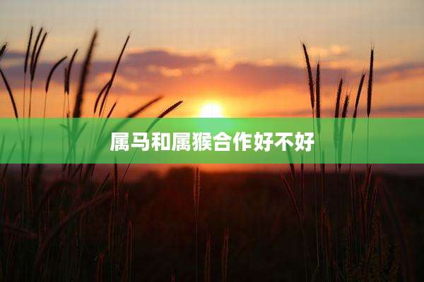 属马和属猴合作好不好