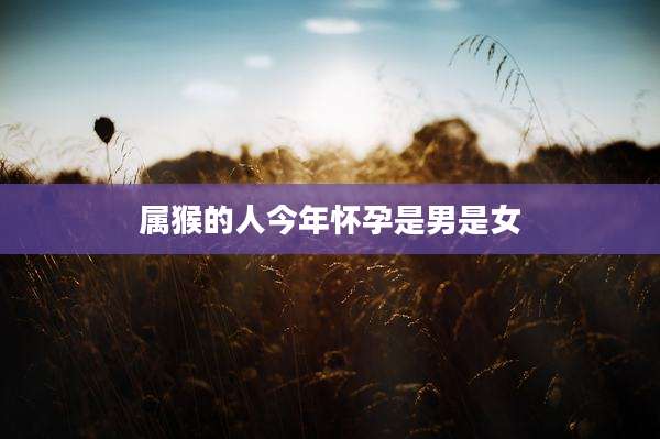 属猴的人今年怀孕是男是女