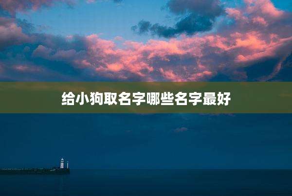 给小狗取名字哪些名字最好