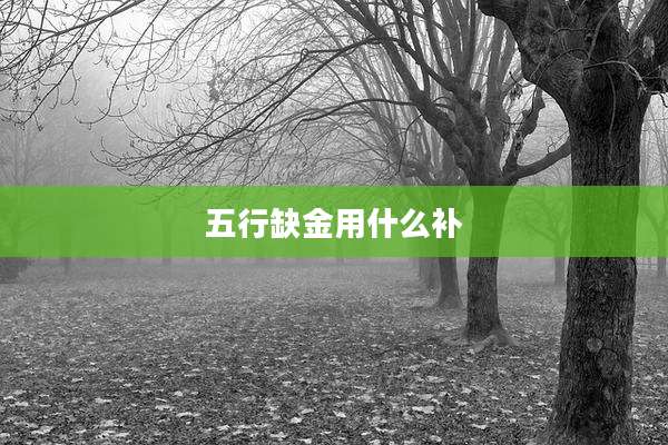 五行缺金用什么补