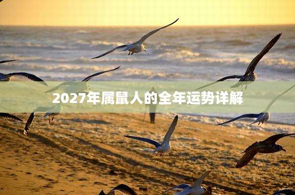2027年属鼠人的全年运势详解