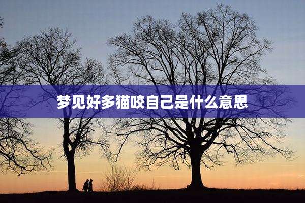 梦见好多猫咬自己是什么意思