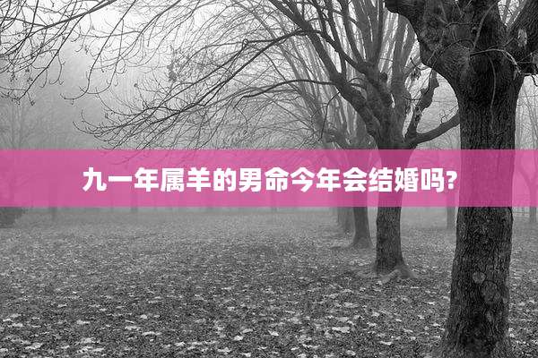九一年属羊的男命今年会结婚吗?