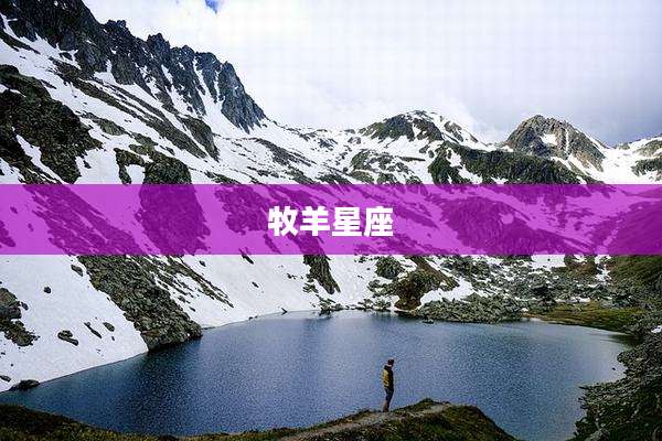牧羊星座