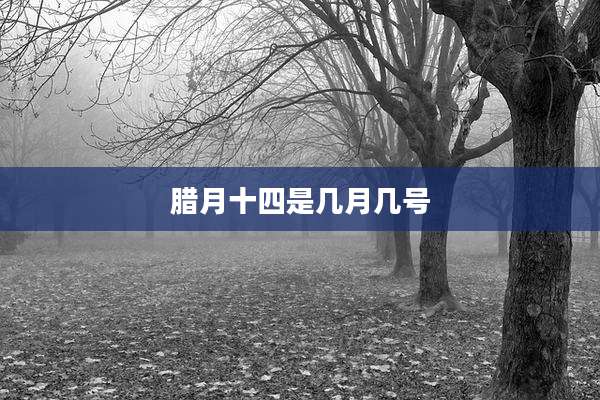 腊月十四是几月几号