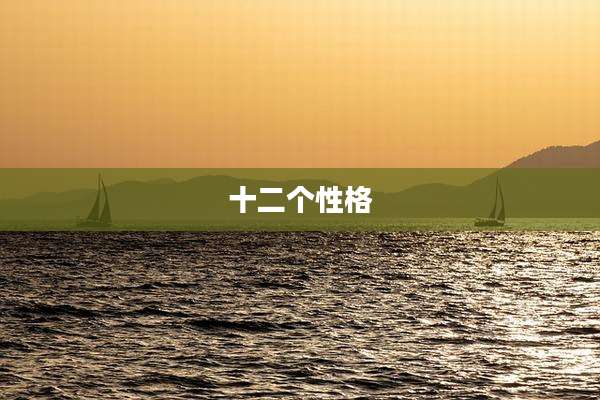 十二个性格