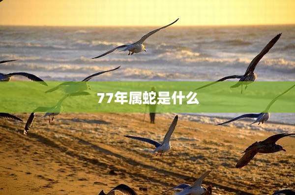 77年属蛇是什么