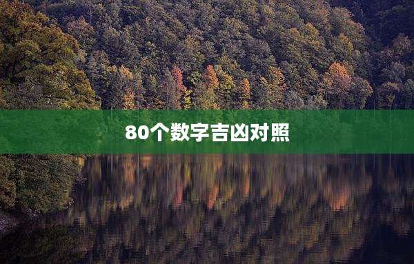 80个数字吉凶对照