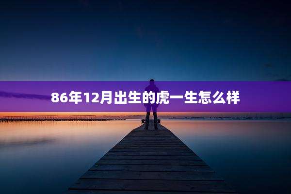 86年12月出生的虎一生怎么样
