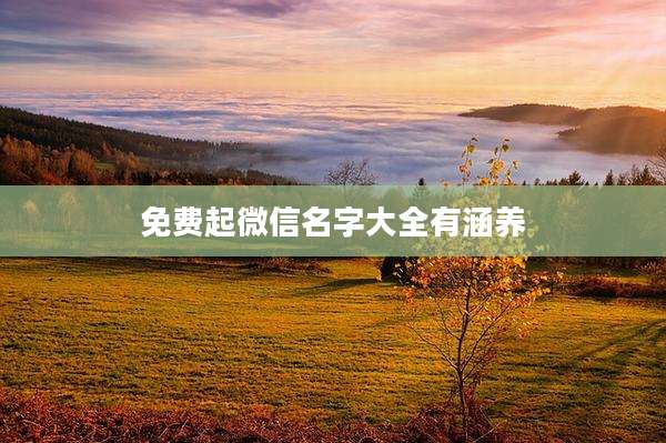 免费起微信名字大全有涵养