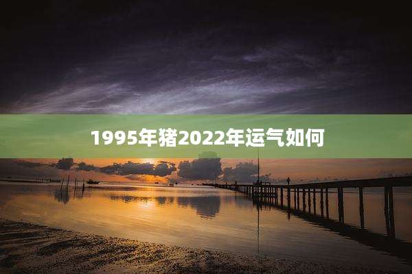 1995年猪2022年运气如何