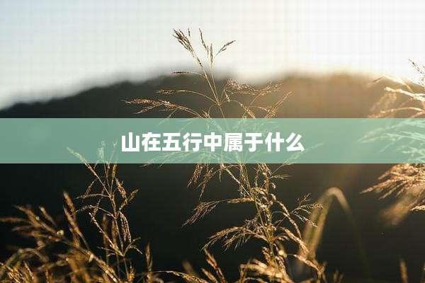 山在五行中属于什么
