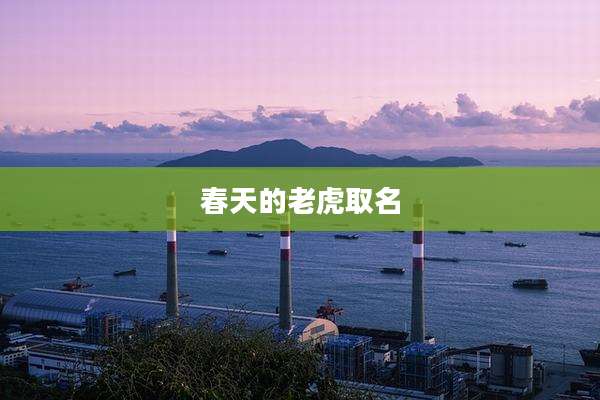 春天的老虎取名