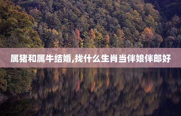 属猪和属牛结婚,找什么生肖当伴娘伴郎好