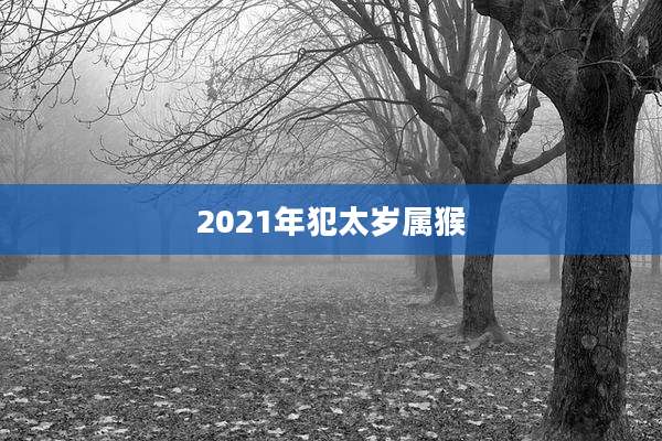 2021年犯太岁属猴