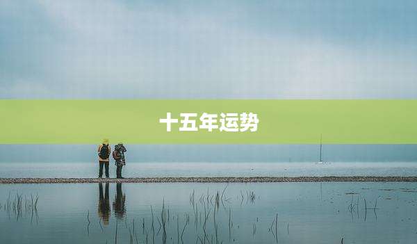 十五年运势