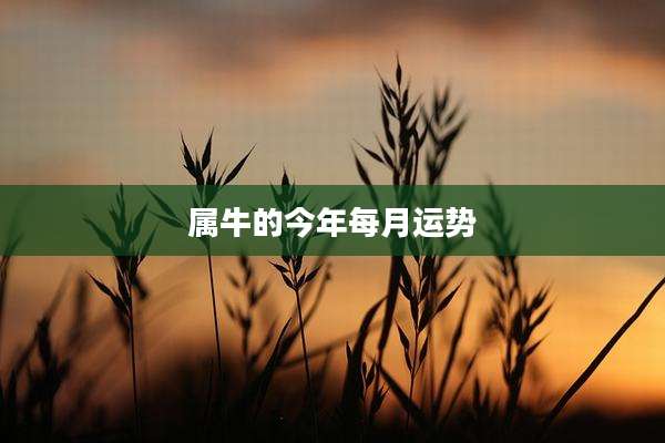 属牛的今年每月运势