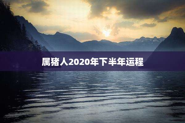 属猪人2020年下半年运程