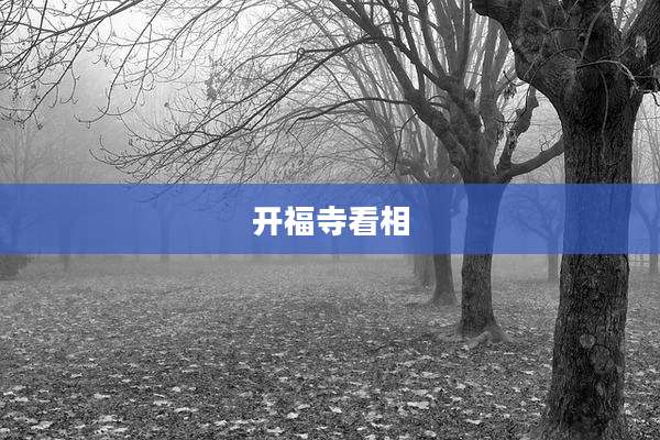 开福寺看相