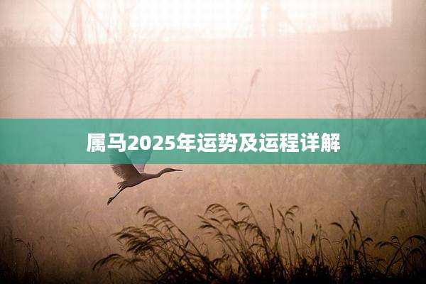 属马2025年运势及运程详解