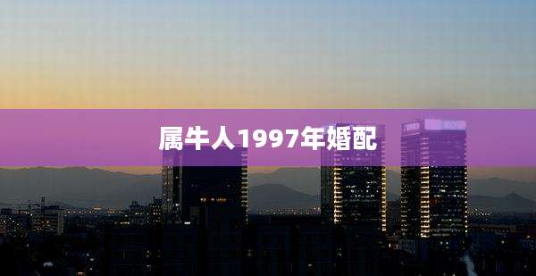 属牛人1997年婚配