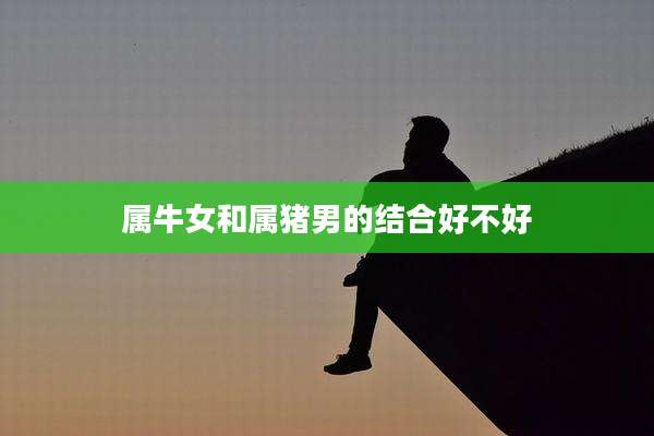属牛女和属猪男的结合好不好