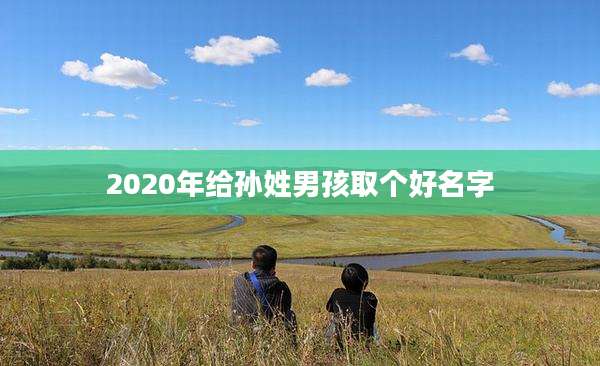 2020年给孙姓男孩取个好名字