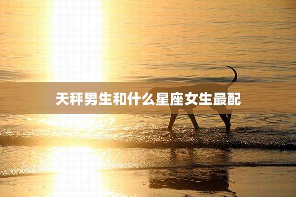 天秤男生和什么星座女生最配