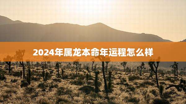 2024年属龙本命年运程怎么样