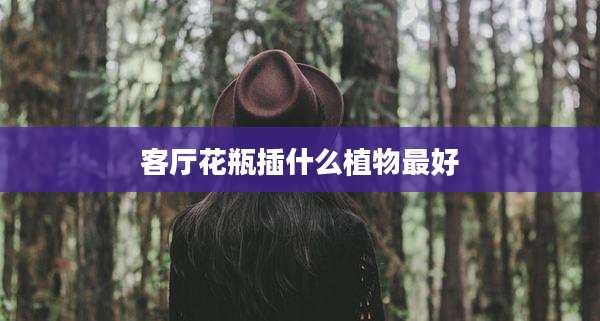 客厅花瓶插什么植物最好