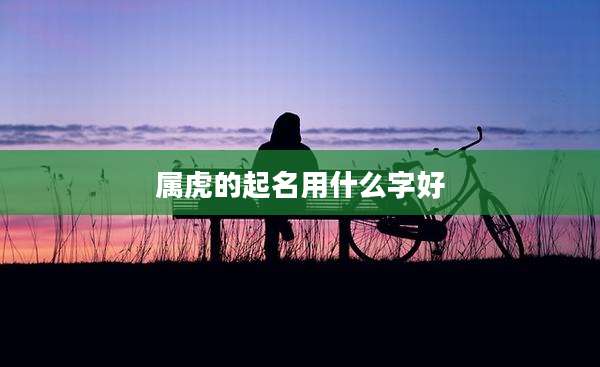属虎的起名用什么字好