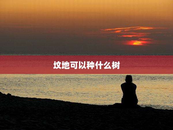 坟地可以种什么树