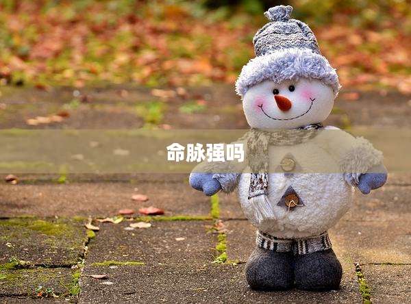 命脉强吗