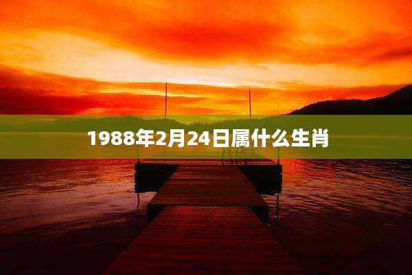 1988年2月24日属什么生肖