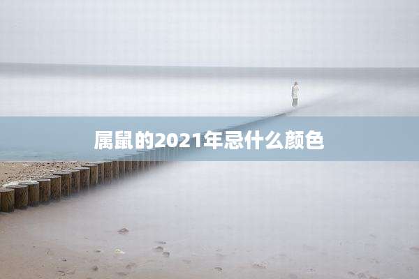 属鼠的2021年忌什么颜色